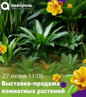 Выставка-продажа комнатных растений