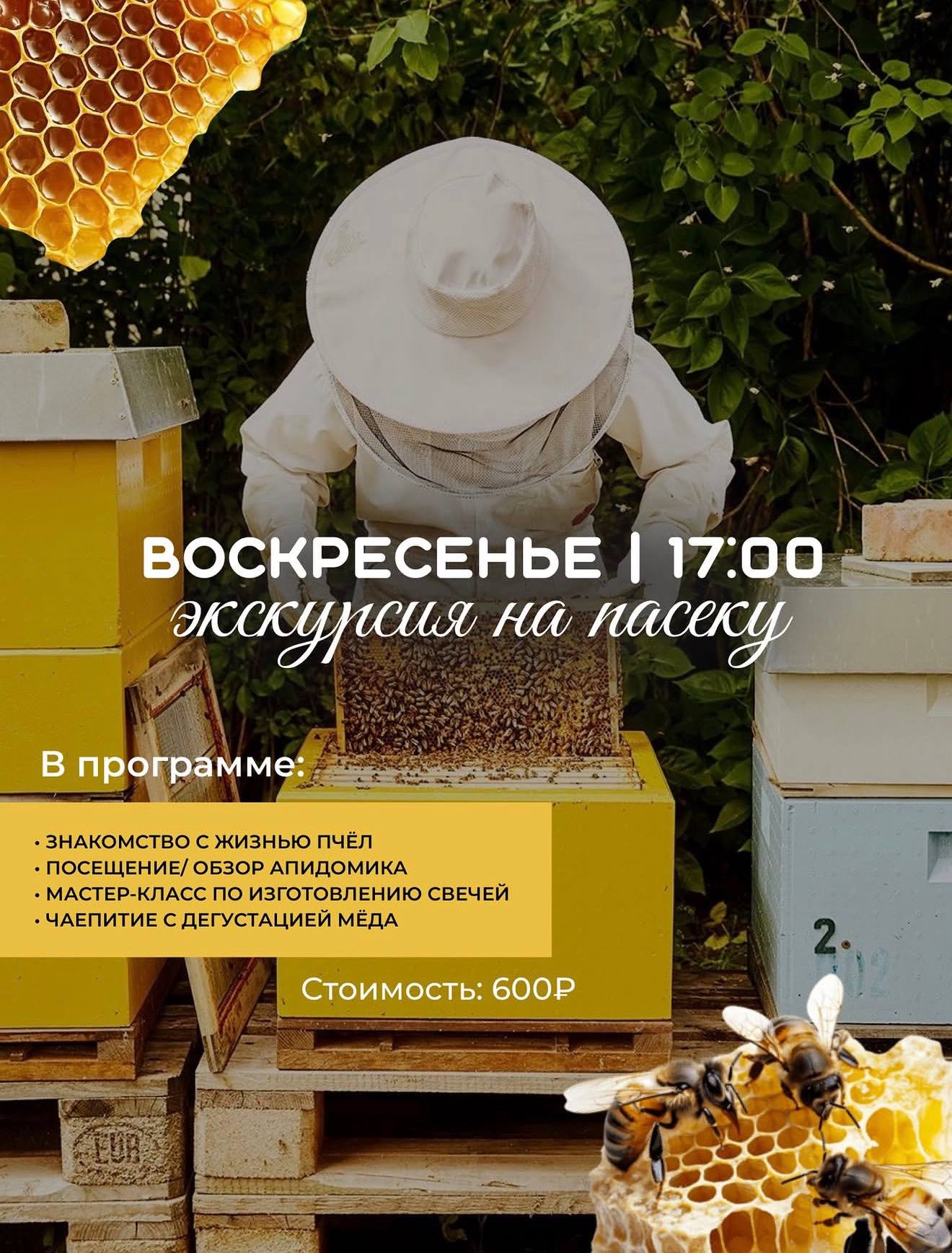 Экскурсия на пасеку
