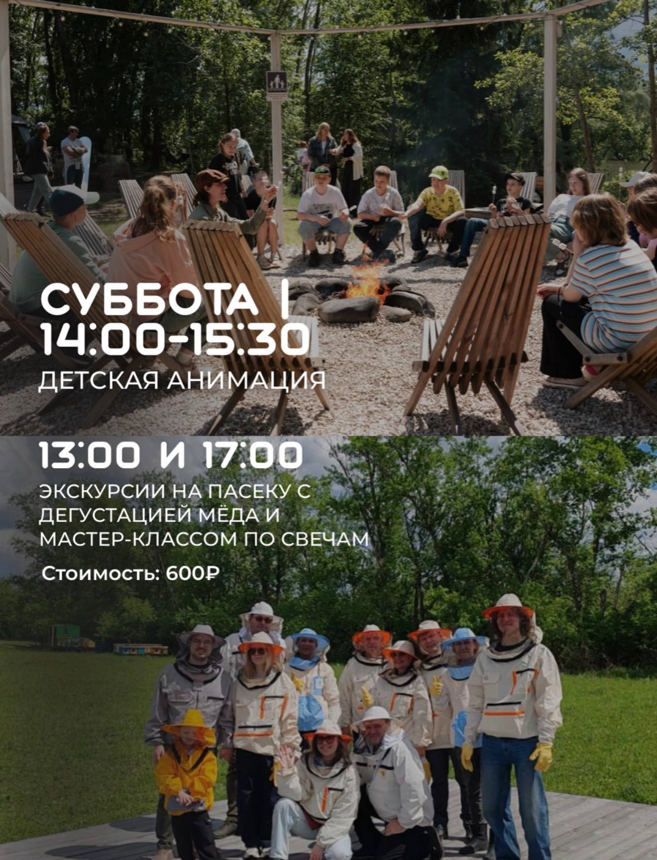 Экскурсии на пасеку