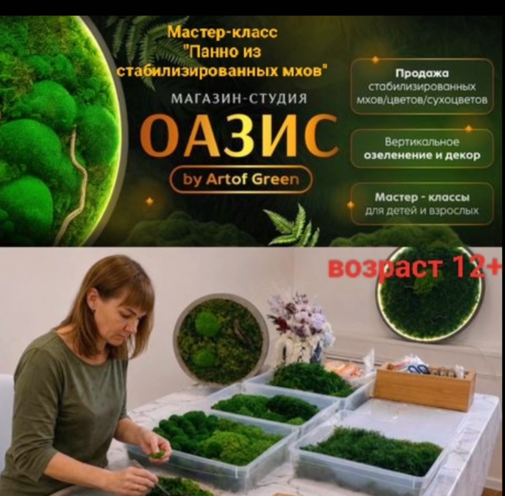 Мастер-класс Картина из мха