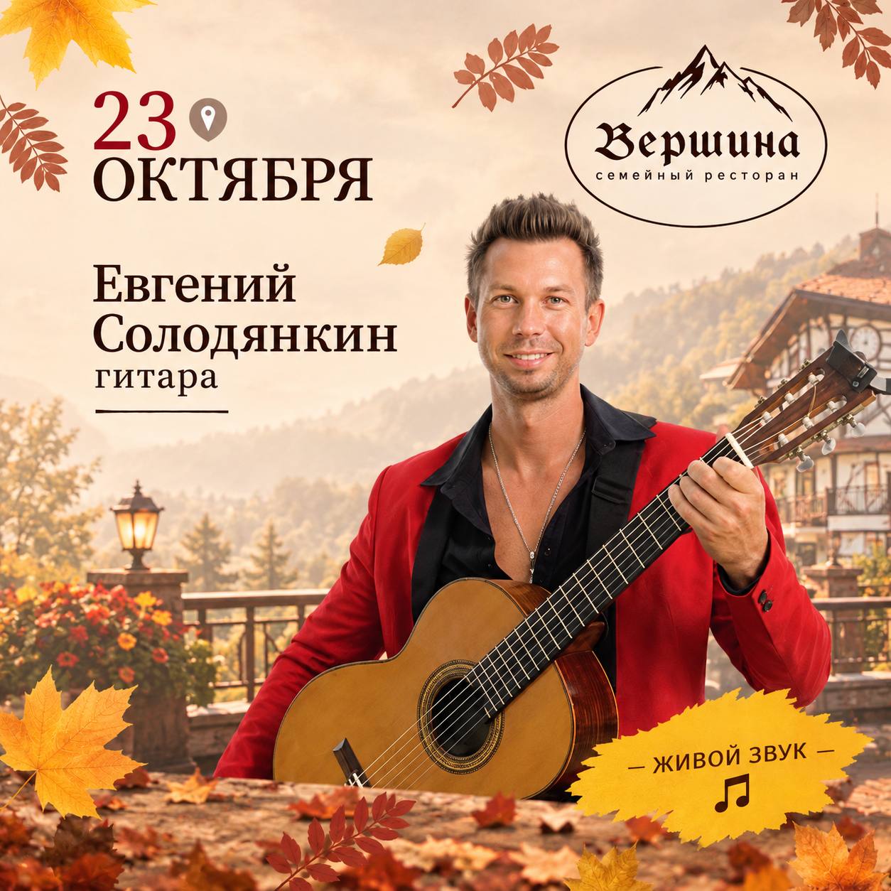 Гитара от Евгения Солодянкина