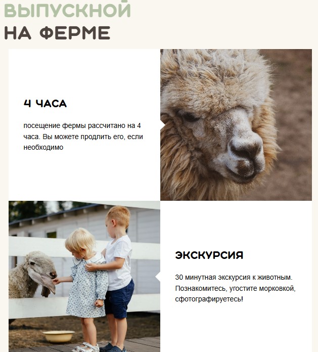 Выпускной в «Пара Альпак»