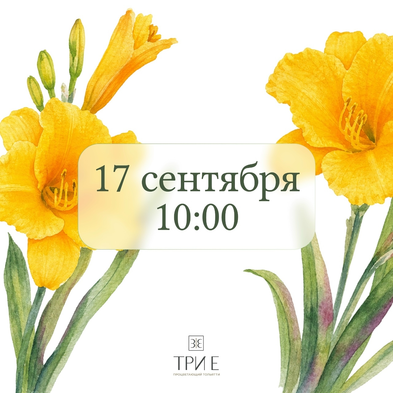 Народная высадка цветов «ТРИ Е: Процветающий Тольятти»