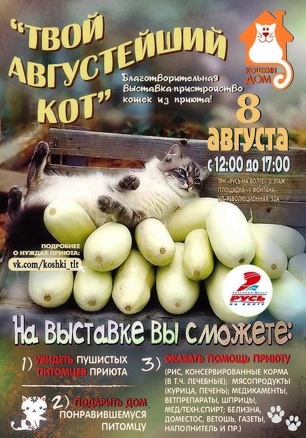 Твой августейший кот!