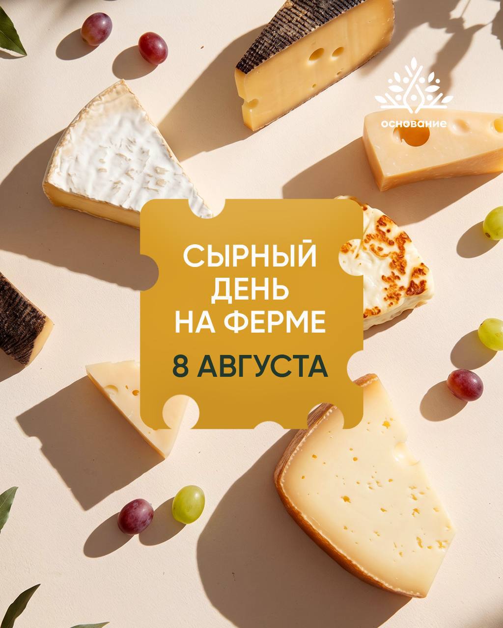 Сырный день на ферме Основание