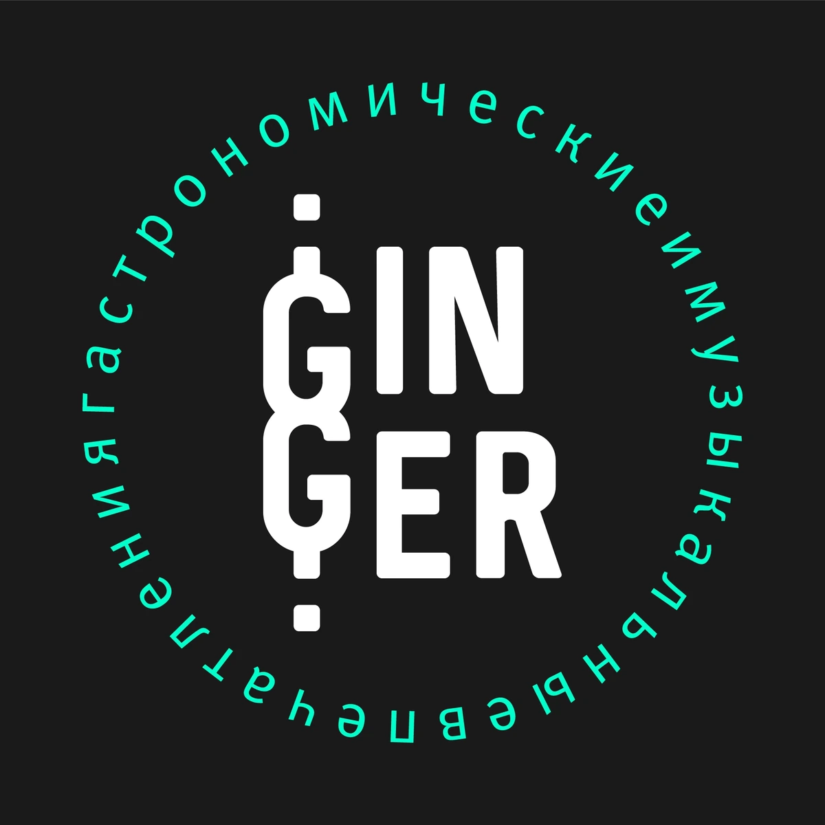 Логотип GINGER