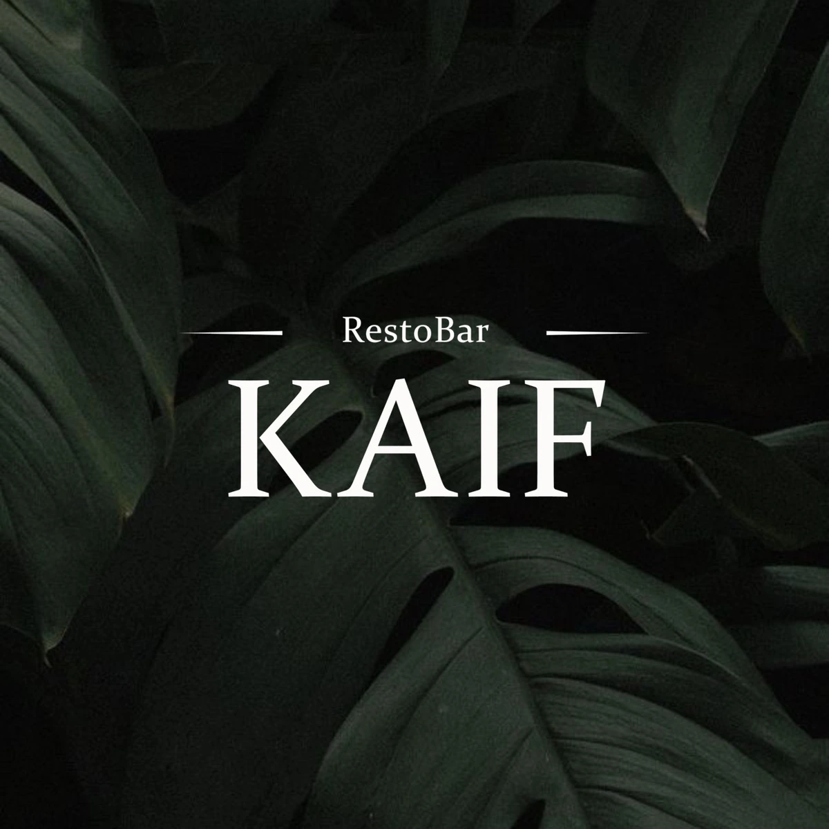 Логотип KAIF