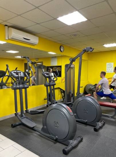 Figura Gym