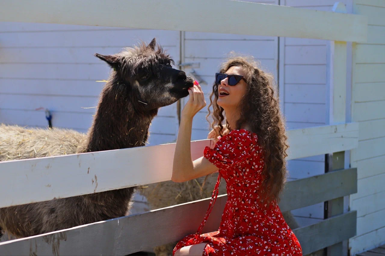 Ферма ПАРА АЛЬПАК