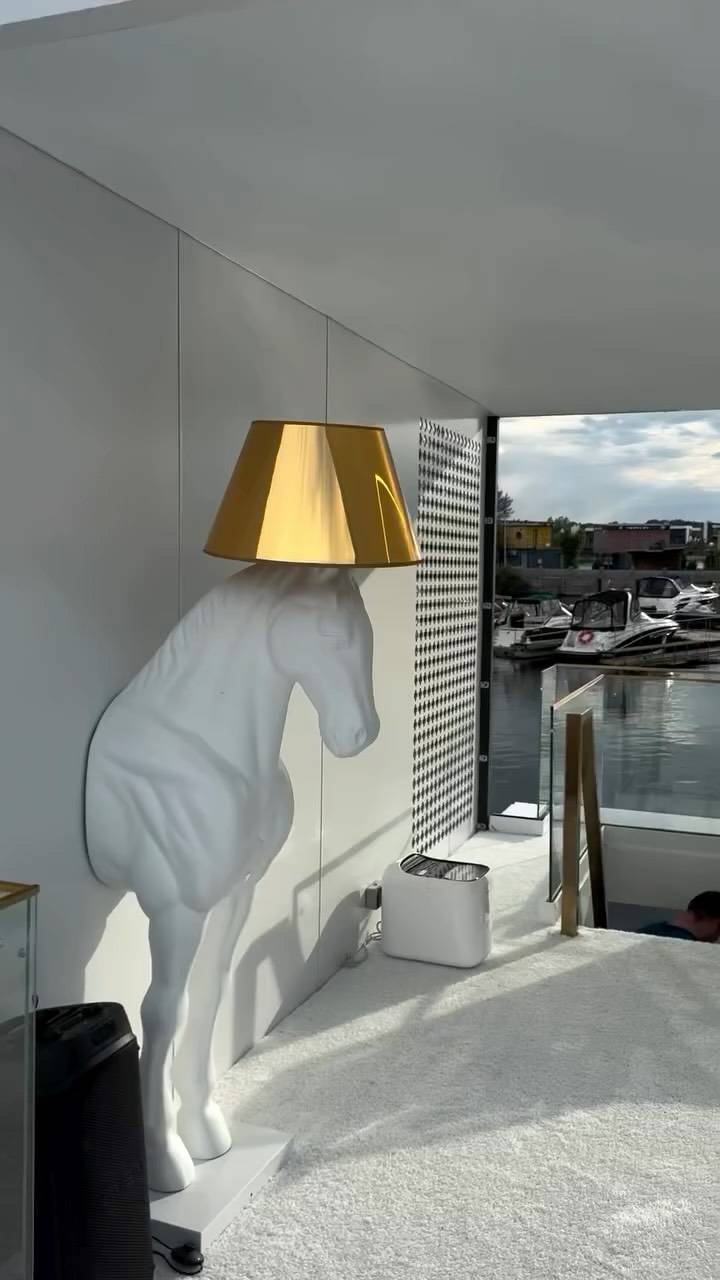 FreeDom houseboat